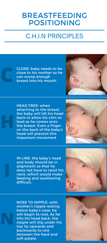 Chin Principles Inforgraphic - C = close, H = Head Free, I = In line and N = Nose to nipple.