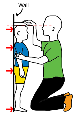 Instructional illustration - Child standing against a wall with feet, bottom and shoulders and head touching the wall. Parent kneels infront with eyes levels to the top of their head and draws a line.