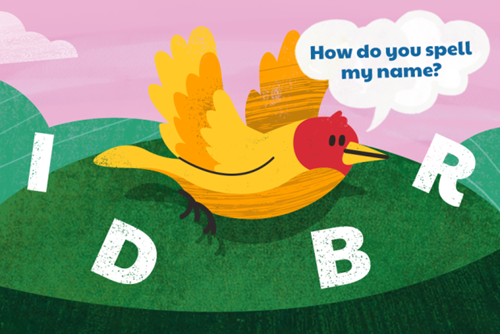 How do you spell my name illustration of a bird with the letters i,d,b,r against a green landscape